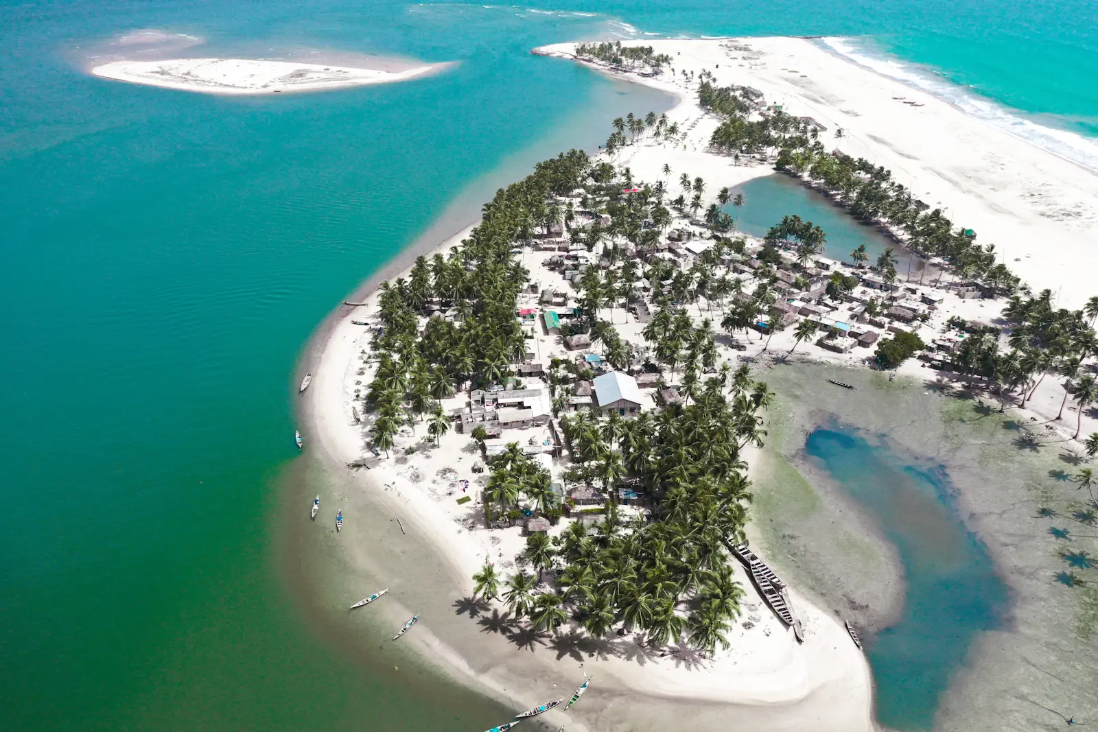 Aerial view of coconut palms along the coast at Ada Foah, Ghana