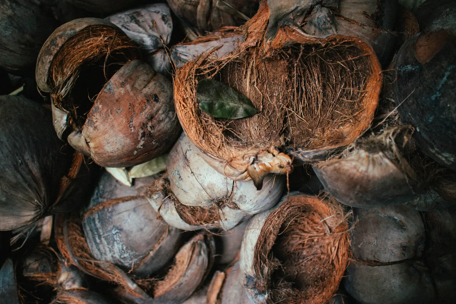Coconut husks and shells after processing