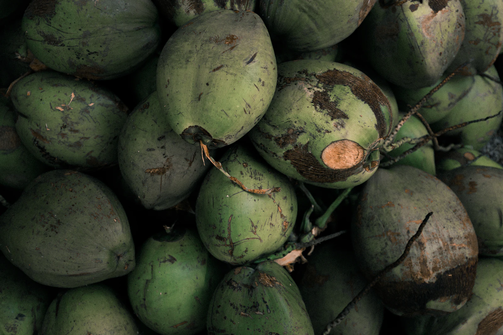 A pile of whole coconuts